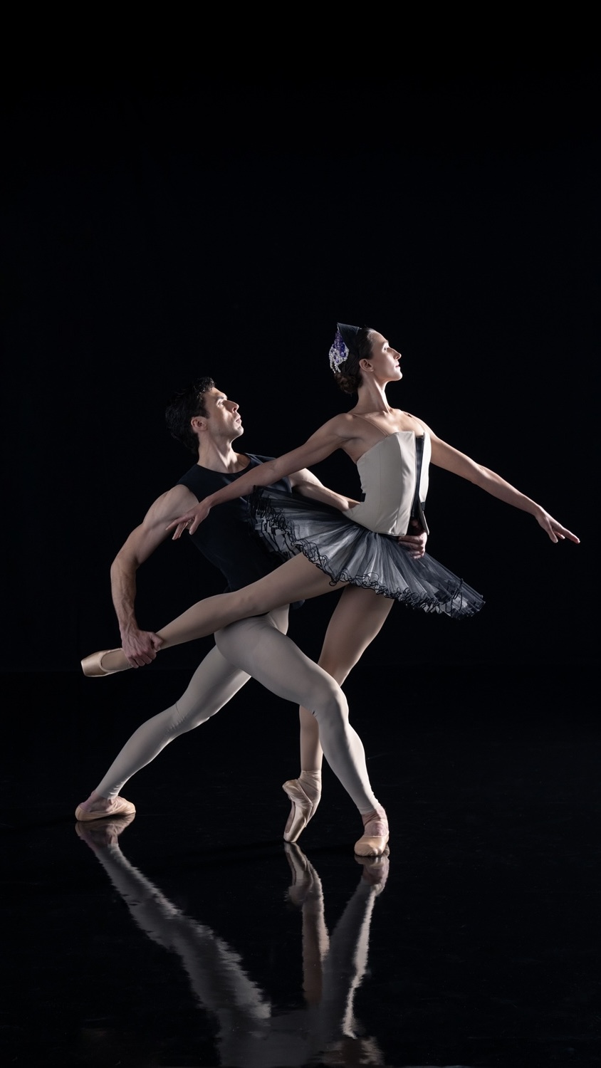 【中古】 バレエ＆ダンス / American Bellet Gala-art Of The Classical Pas De Deux c07abb86cea742b48449b977c41fd1